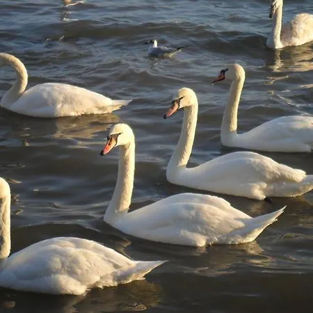 Lägenhet My Place 1 Varna